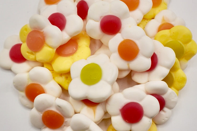 Marguerite daisy (100g)