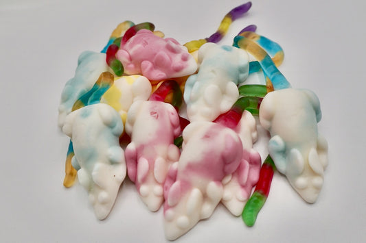 Mimi la souris (100G)