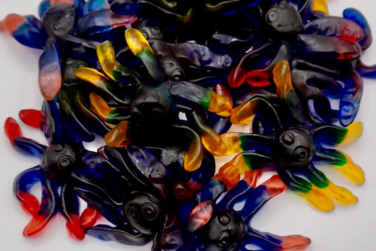 Ursula et son encre (100g)