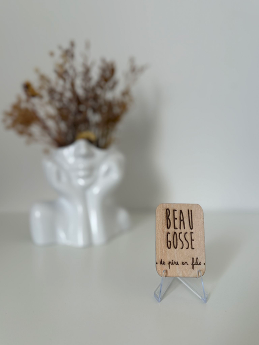 Magnet "beau gosse de père en fils"